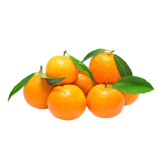 Mandalina Nova Sıkmalık (Kg)