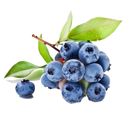 Yaban Mersini Blueberry 200 Gr