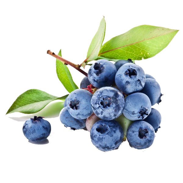 Yaban Mersini Blueberry 200 Gr