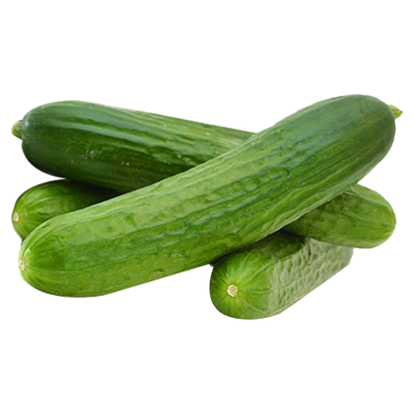 Salatalık (Kg)